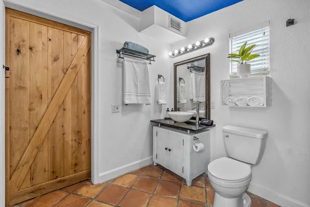 a view of a yard with plants and trees