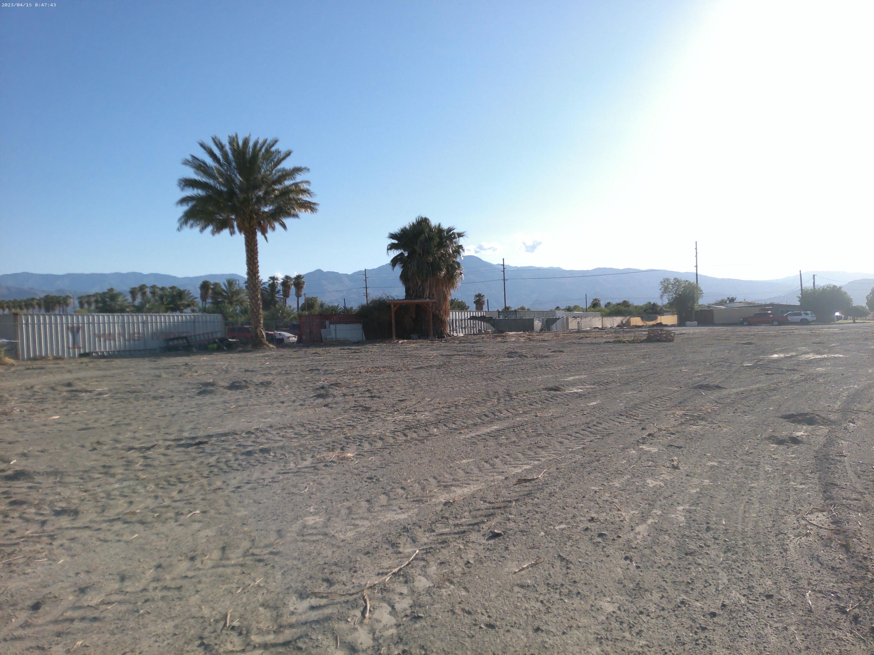 54878 Harrison Street Thermal, CA 92274 - Photo 11 of 58 a view of a dry yard with palm trees