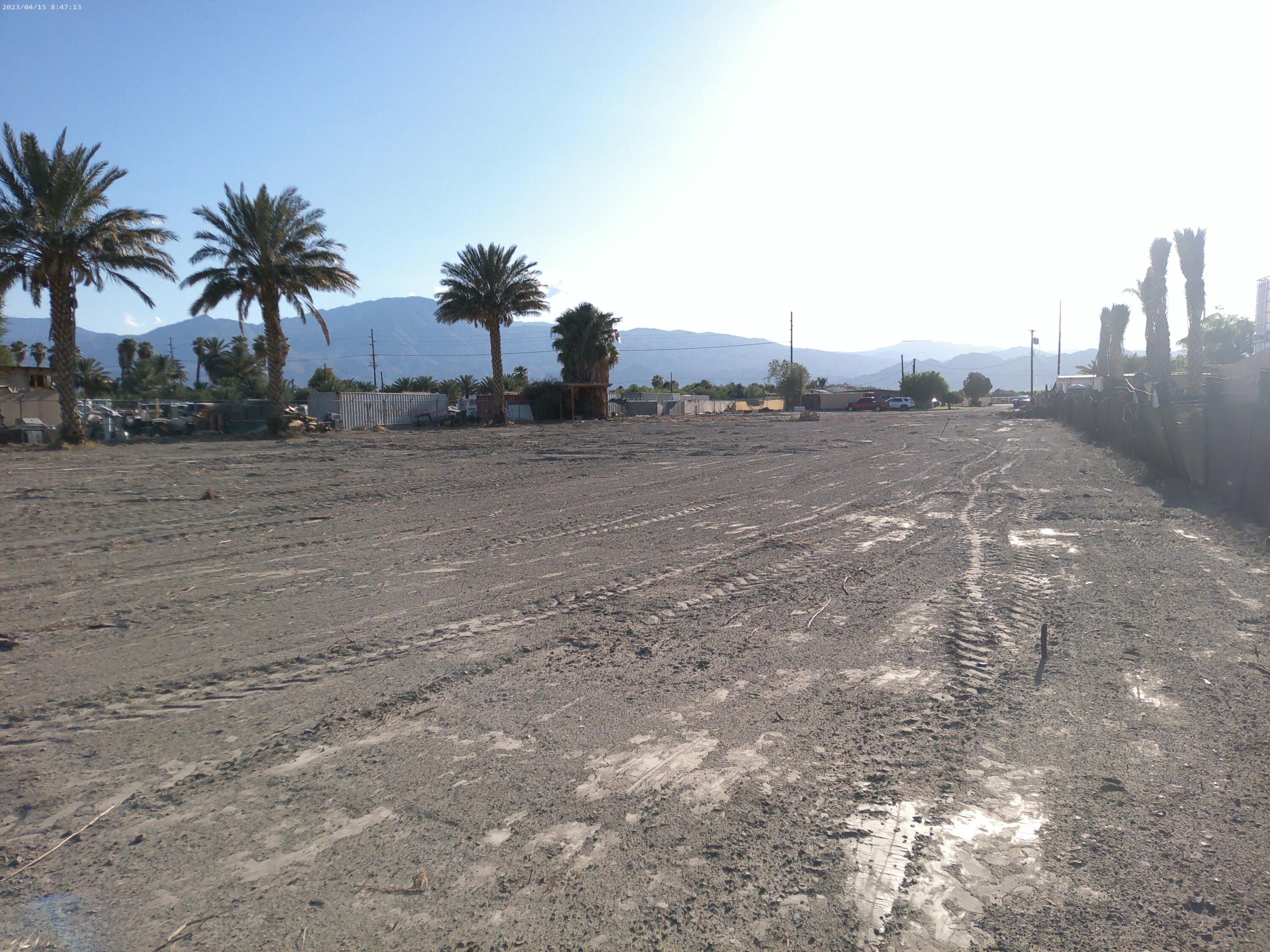 54878 Harrison Street Thermal, CA 92274 - Photo 3 of 58 a view of a dry yard with trees