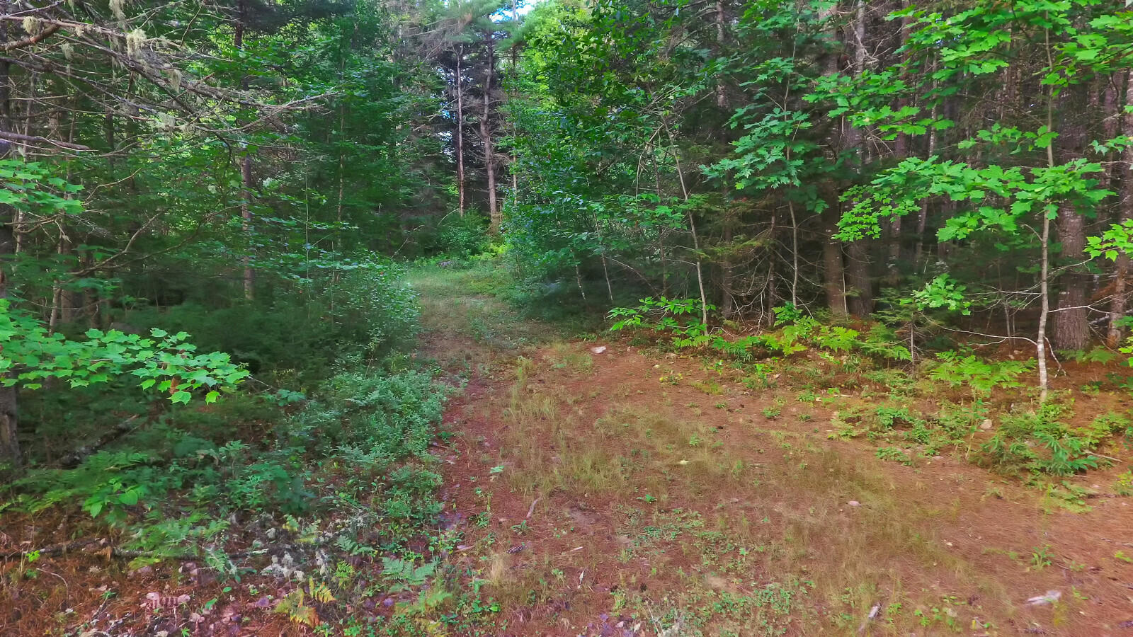 167 Harrison Road Oxford, ME 04270 - Photo 28 of 40 01_DJI_0024_copy_1_mls