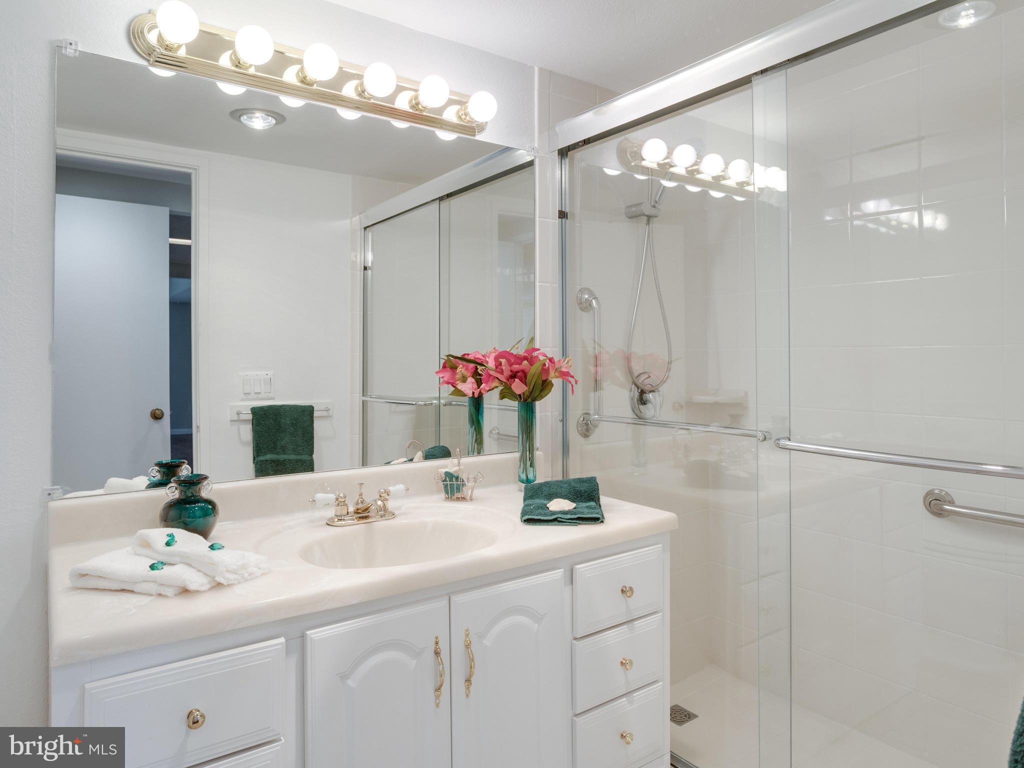 6101 Edsall Road, Unit 809 Alexandria, VA 22304 - Photo 12 of 27 MASTER BATHROOM