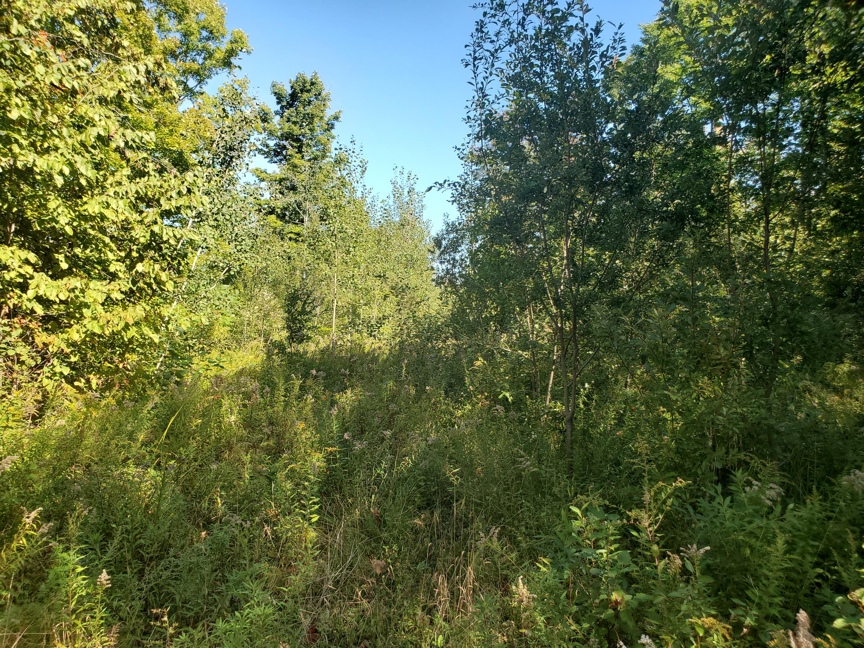 Tbd Mile Hill Road New Sharon, ME 04955 - Photo 1 of 4 20210921_120649