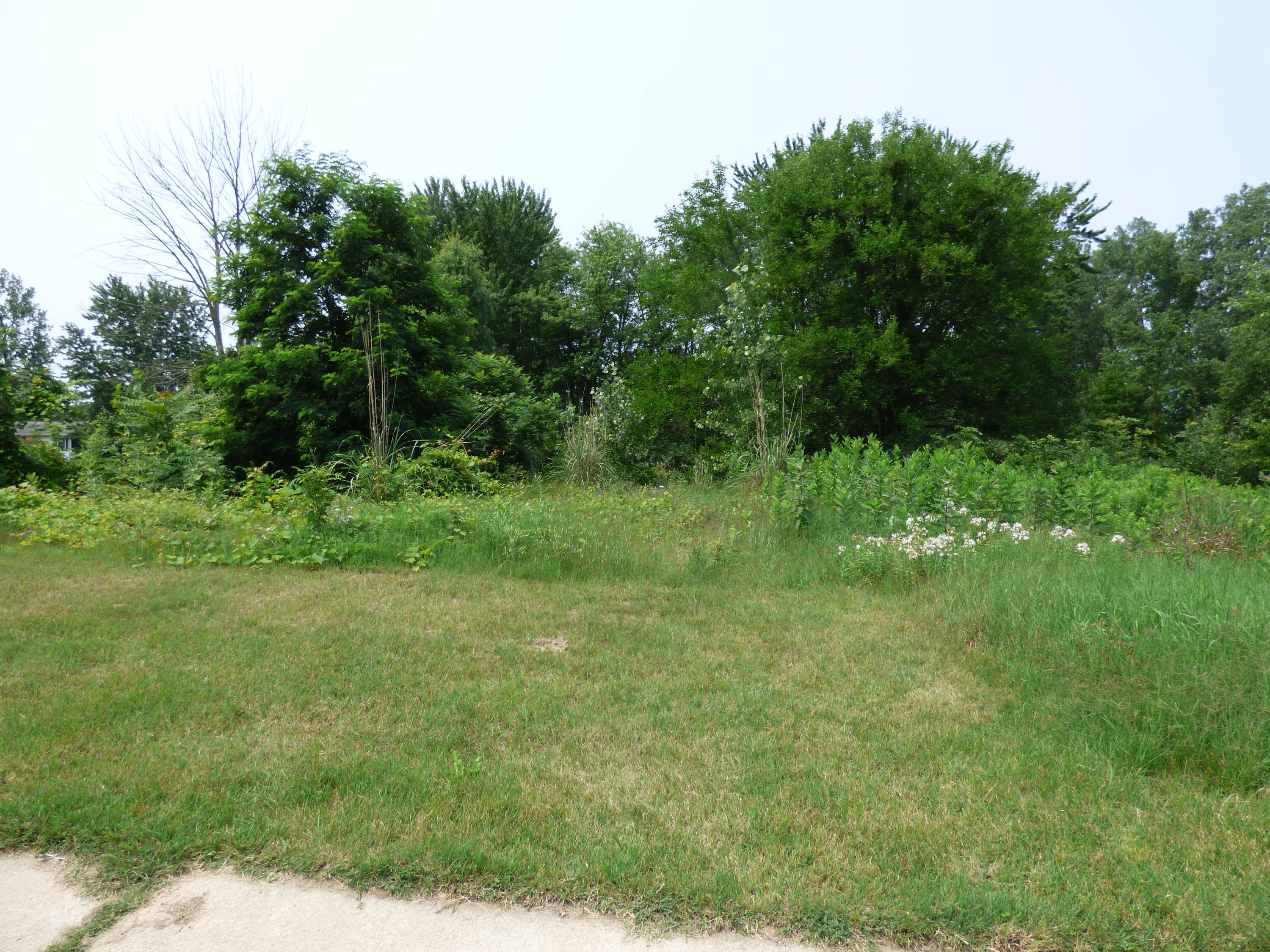 10420 Baldwin Road Bridgman, MI 49106 - Photo 1 of 7 P1040408
