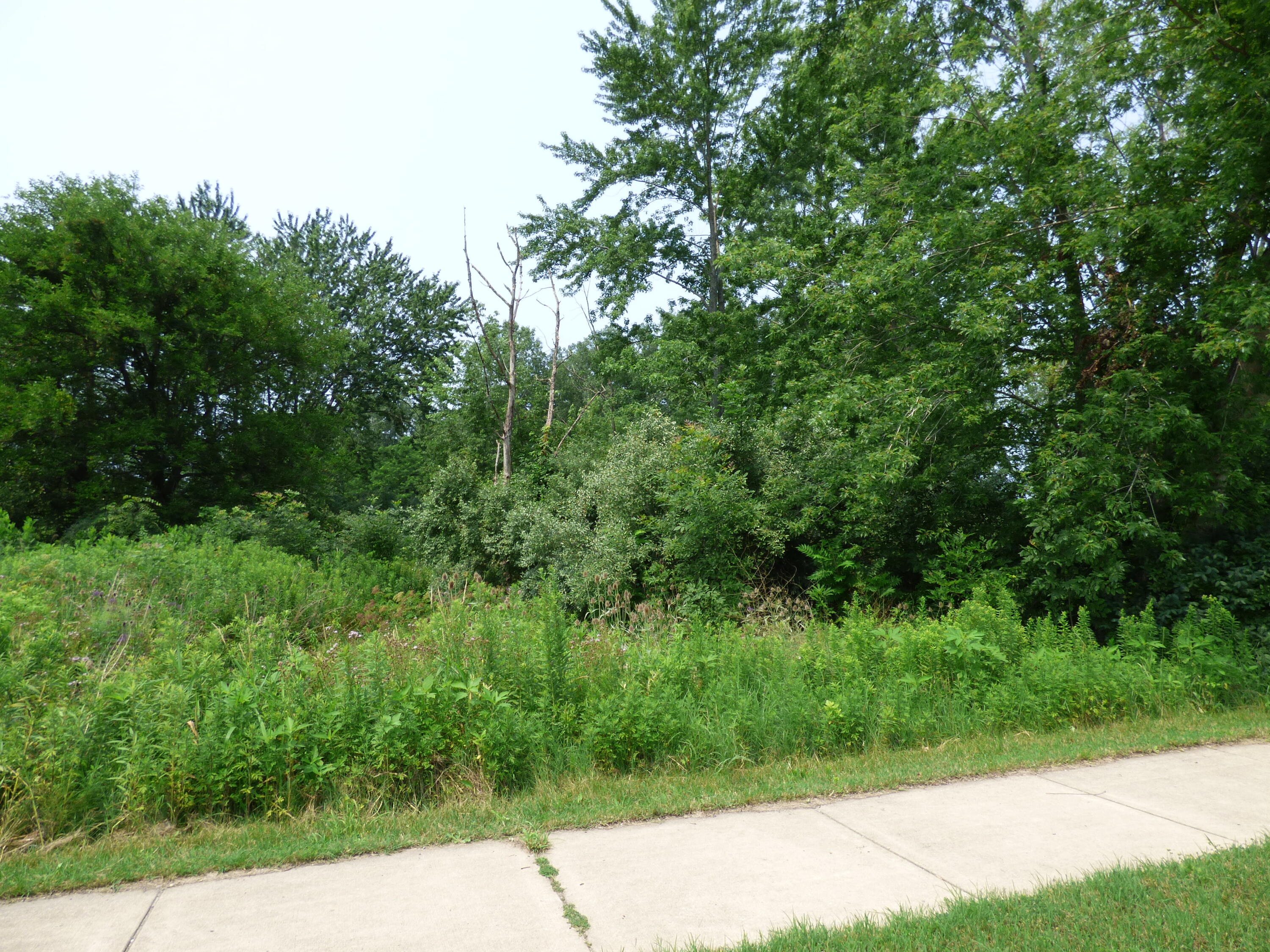 10420 Baldwin Road Bridgman, MI 49106 - Photo 3 of 7 P1040406