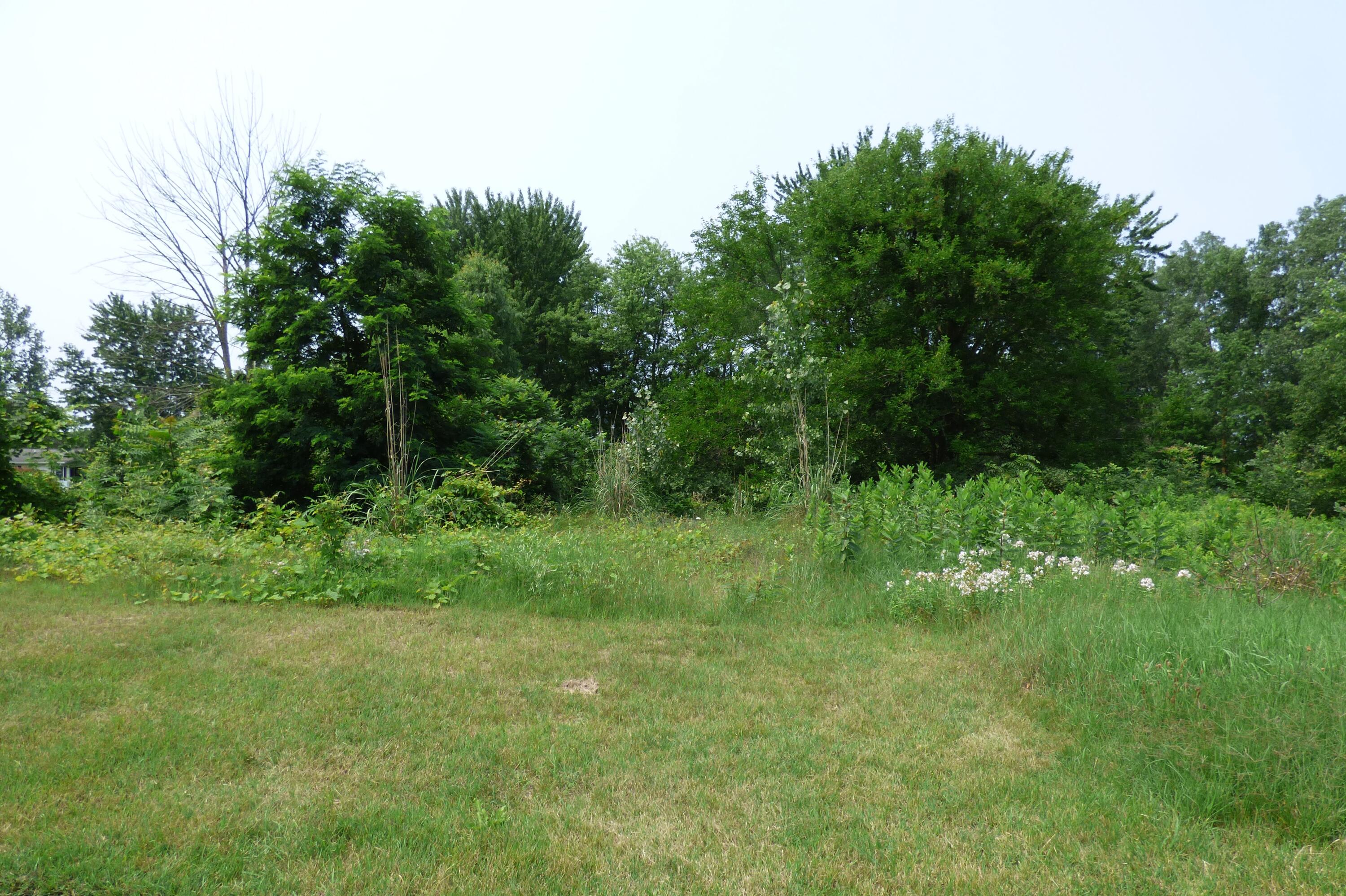 10420 Baldwin Road Bridgman, MI 49106 - Photo 6 of 7 P1040408 (2)