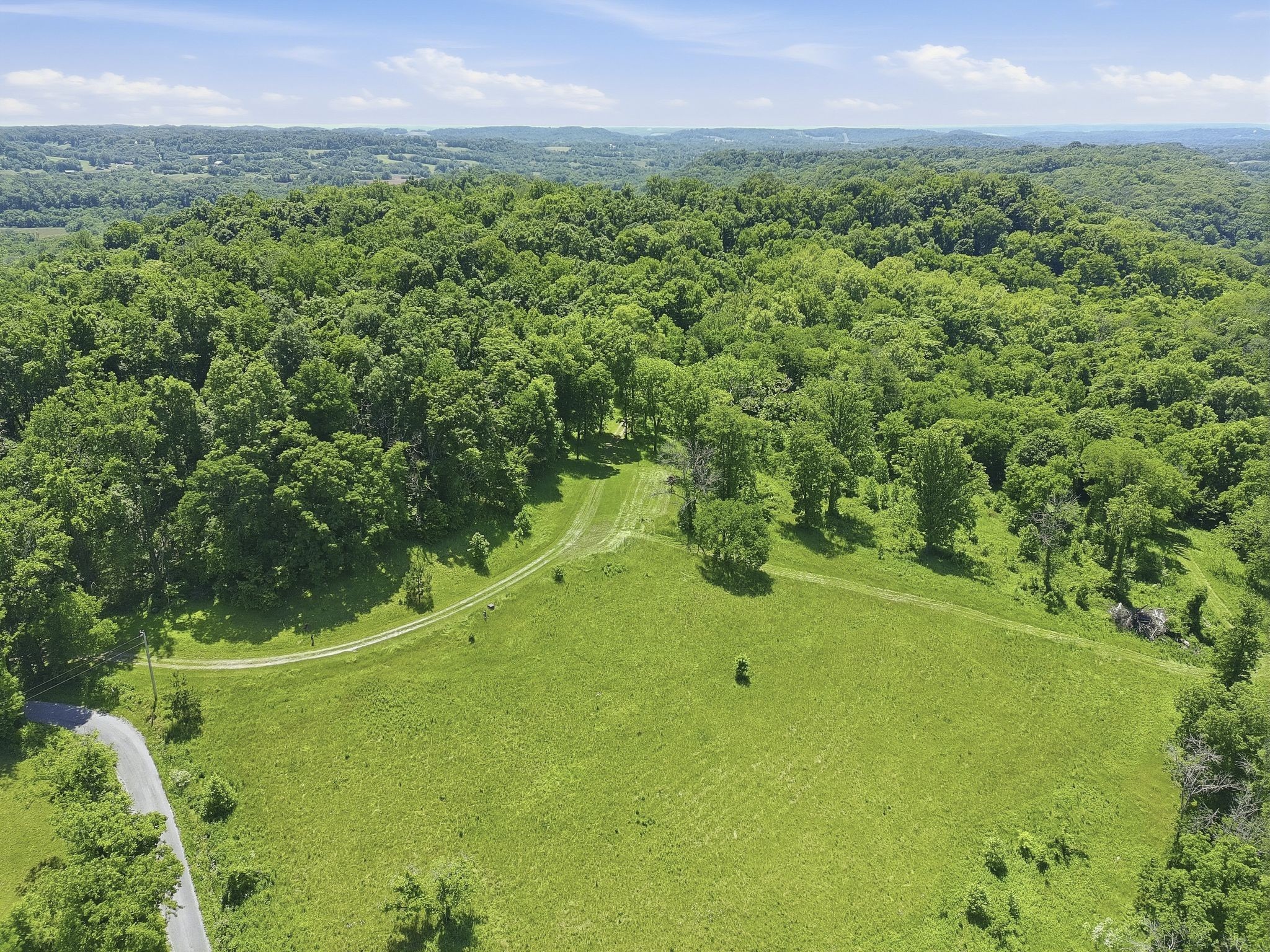 2677 Pigg Schoolhouse Road Santa Fe, TN 38482 - Photo 29 of 35 a view of a big yard with a house