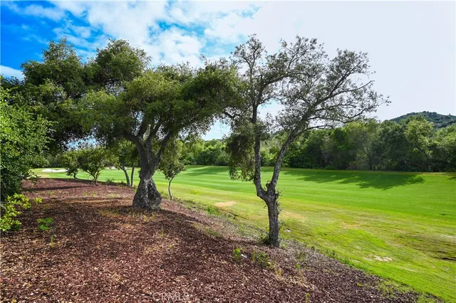 a view of a tree in a yard