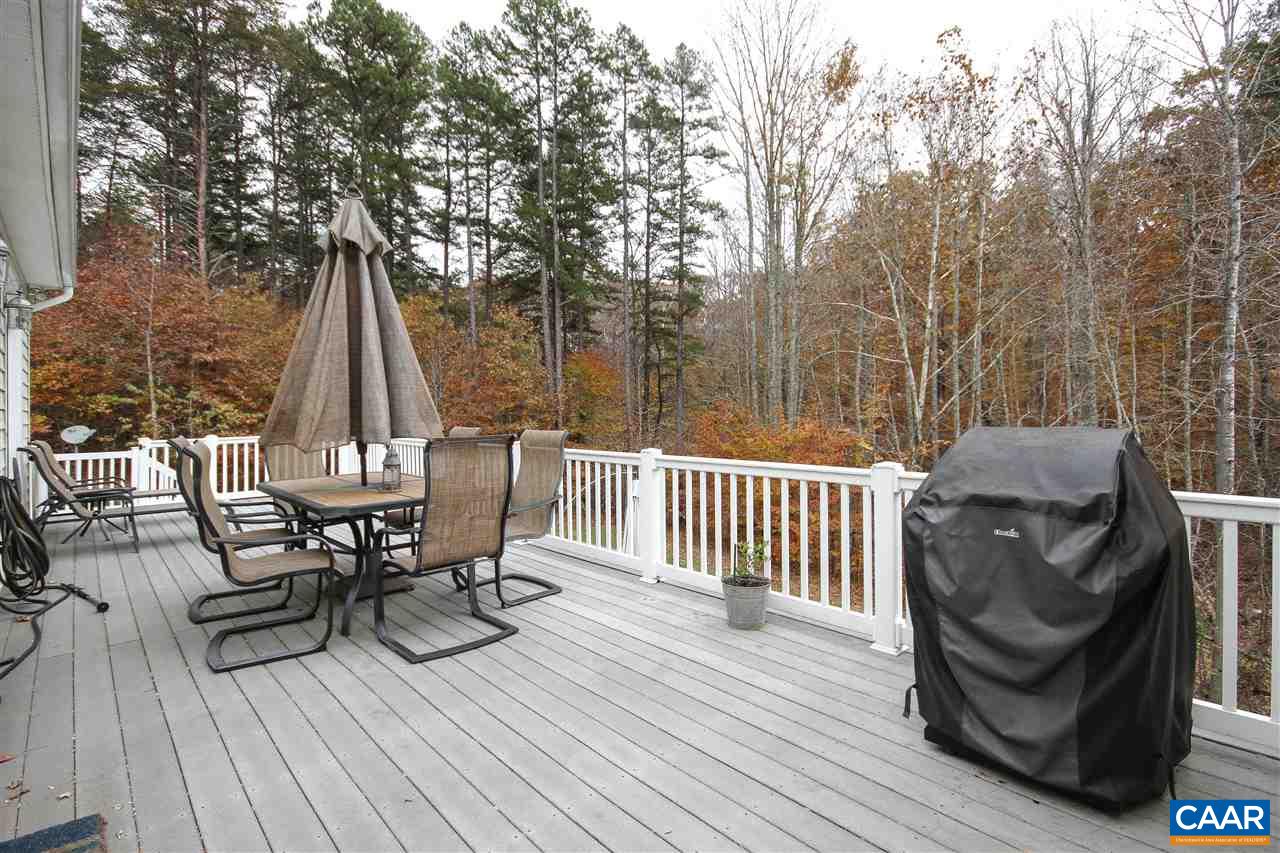 417 Taylor Ridge Way Palmyra, VA 22963 - Photo 36 of 43 Gallery Image 36