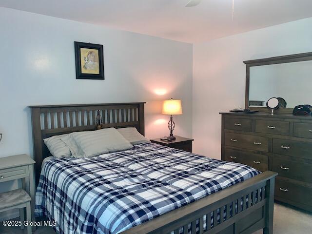 2059 Rosedale Way Guilderland, NY 12303 - Photo 21 of 32 IMG_6323