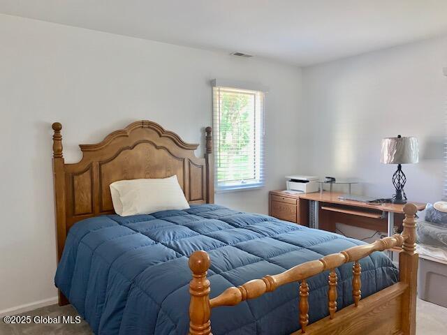 2059 Rosedale Way Guilderland, NY 12303 - Photo 23 of 32 IMG_6328