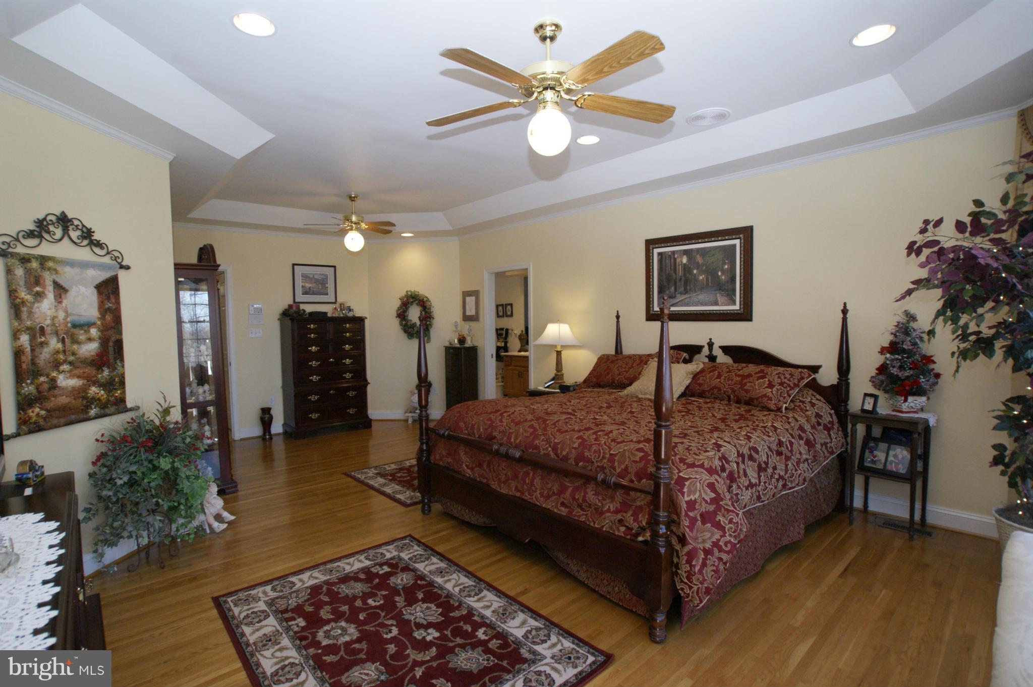 7203 Baldwin Ridge Road Warrenton, VA 20187 - Photo 12 of 30 Master Bedroom - View 2