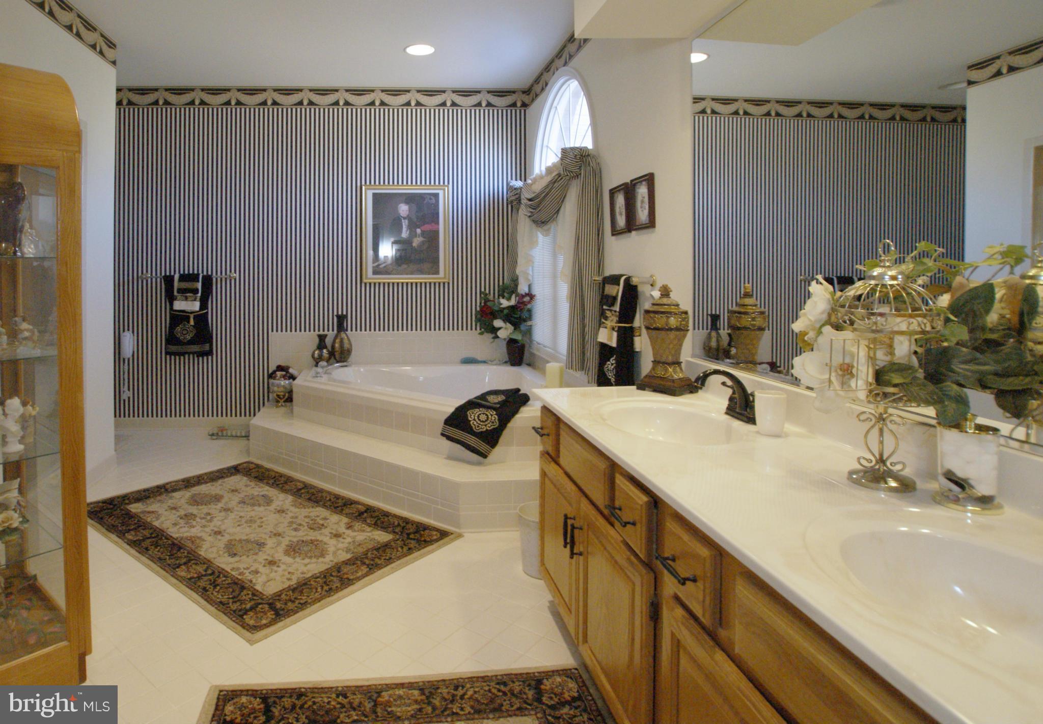 7203 Baldwin Ridge Road Warrenton, VA 20187 - Photo 13 of 30 Luxury Master Bath
