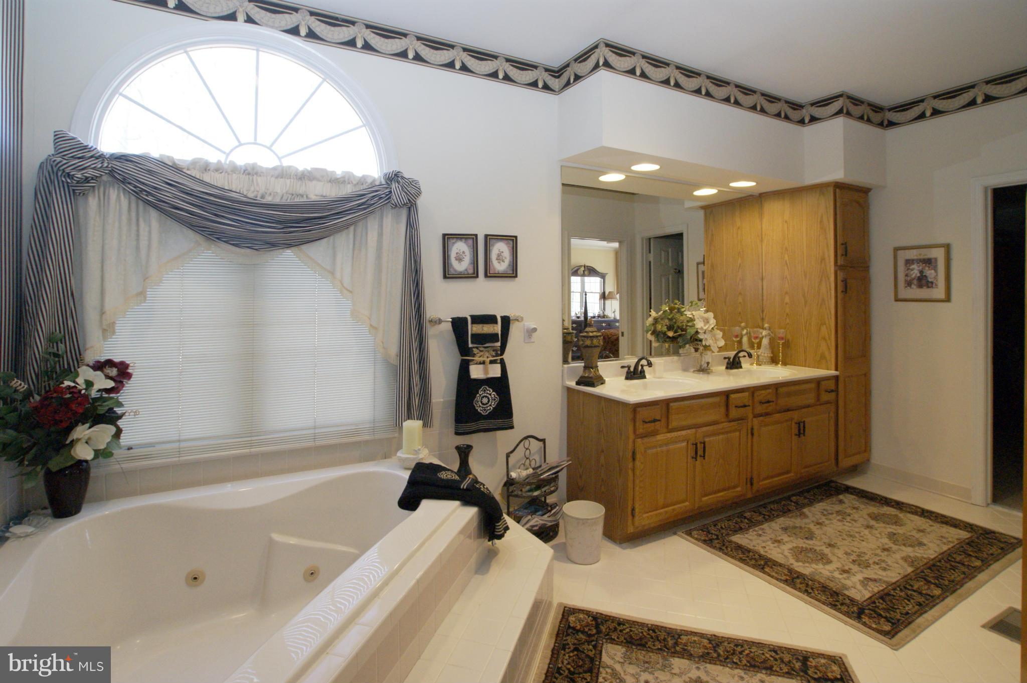 7203 Baldwin Ridge Road Warrenton, VA 20187 - Photo 14 of 30 Master Bath - View 2