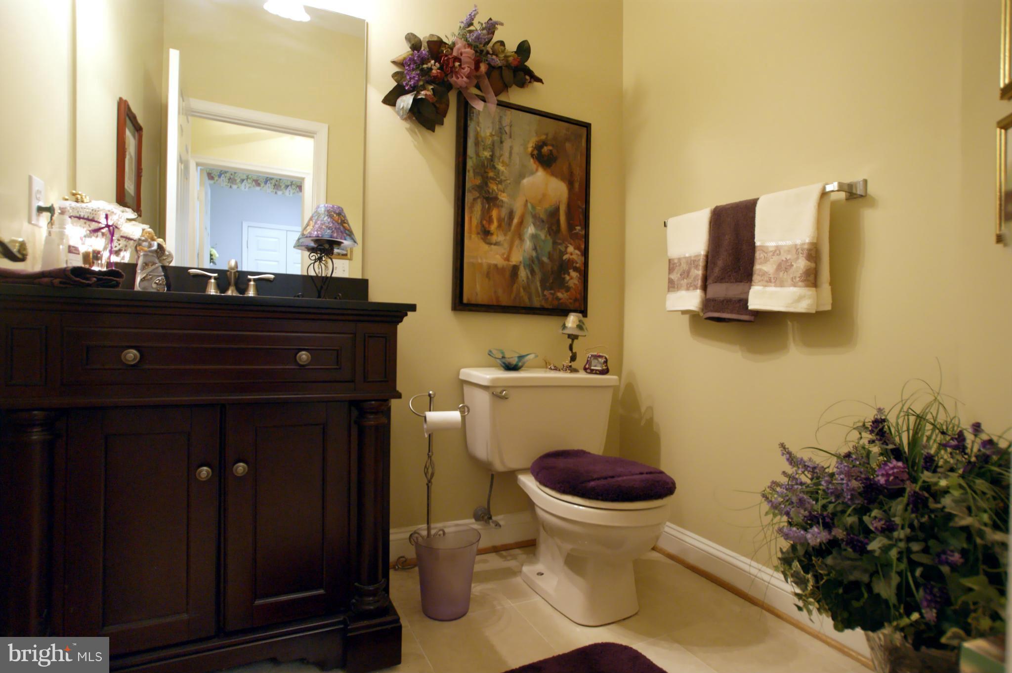 7203 Baldwin Ridge Road Warrenton, VA 20187 - Photo 10 of 30 Main Level Powder Room