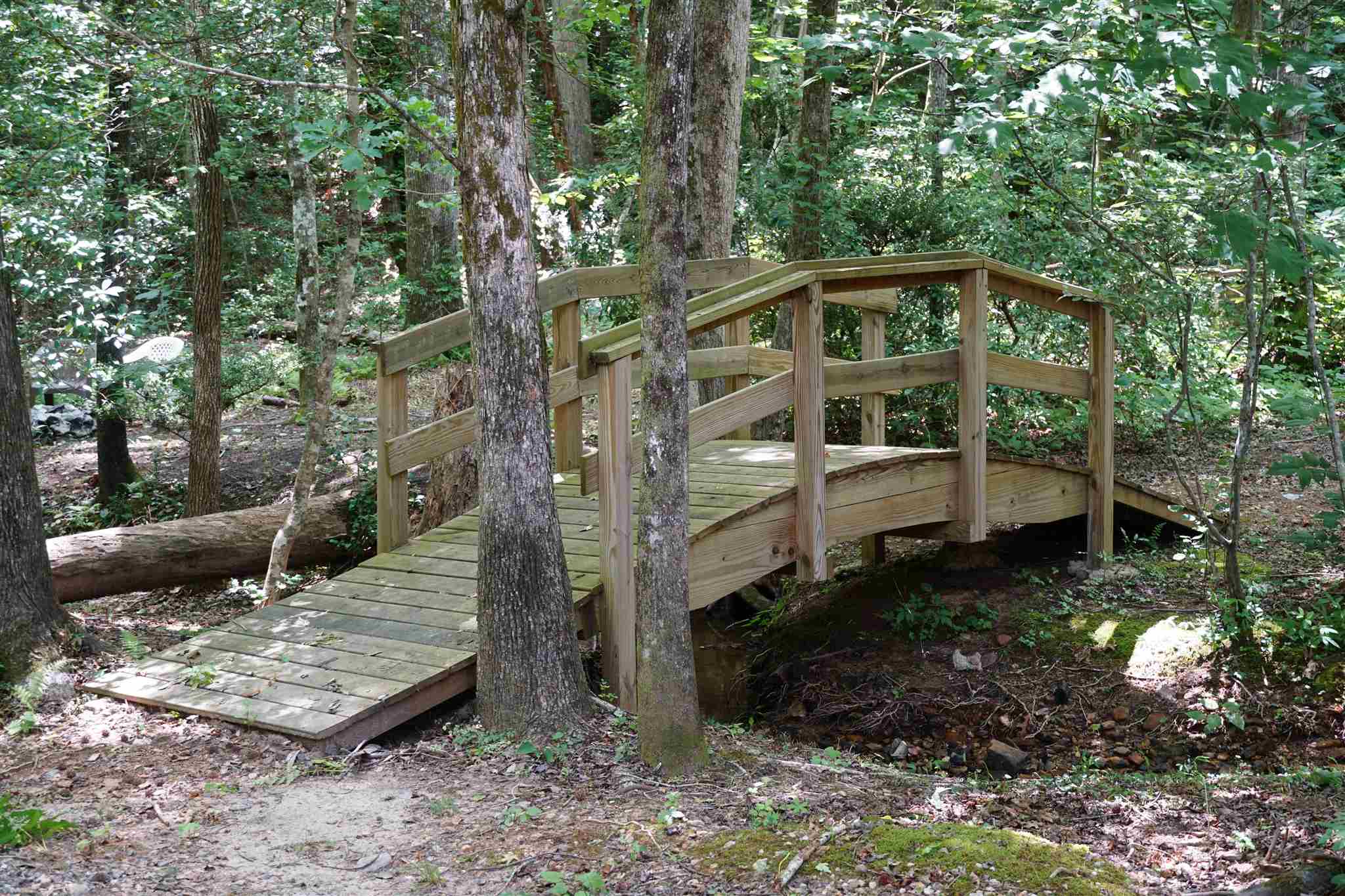 595 Braewick Road Tryon, NC 28782 - Photo 11 of 36