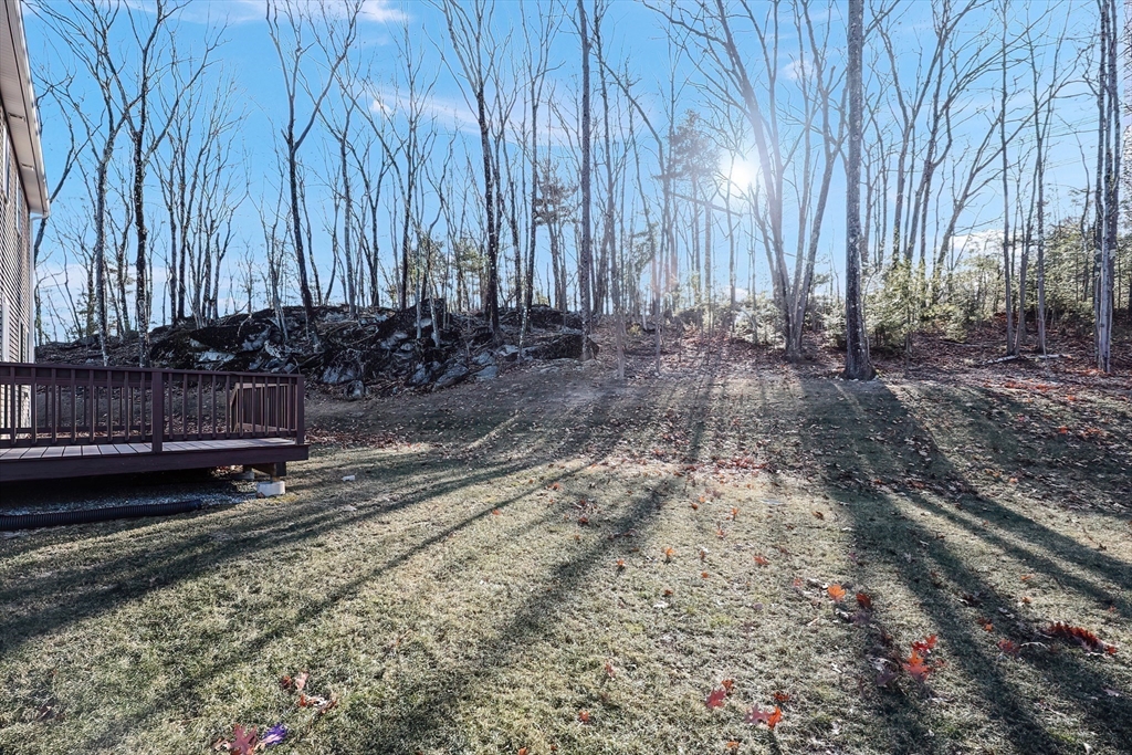 19 Oriole Drive Groton, MA 01450 - Photo 4 of 33 a view of a backyard with large trees