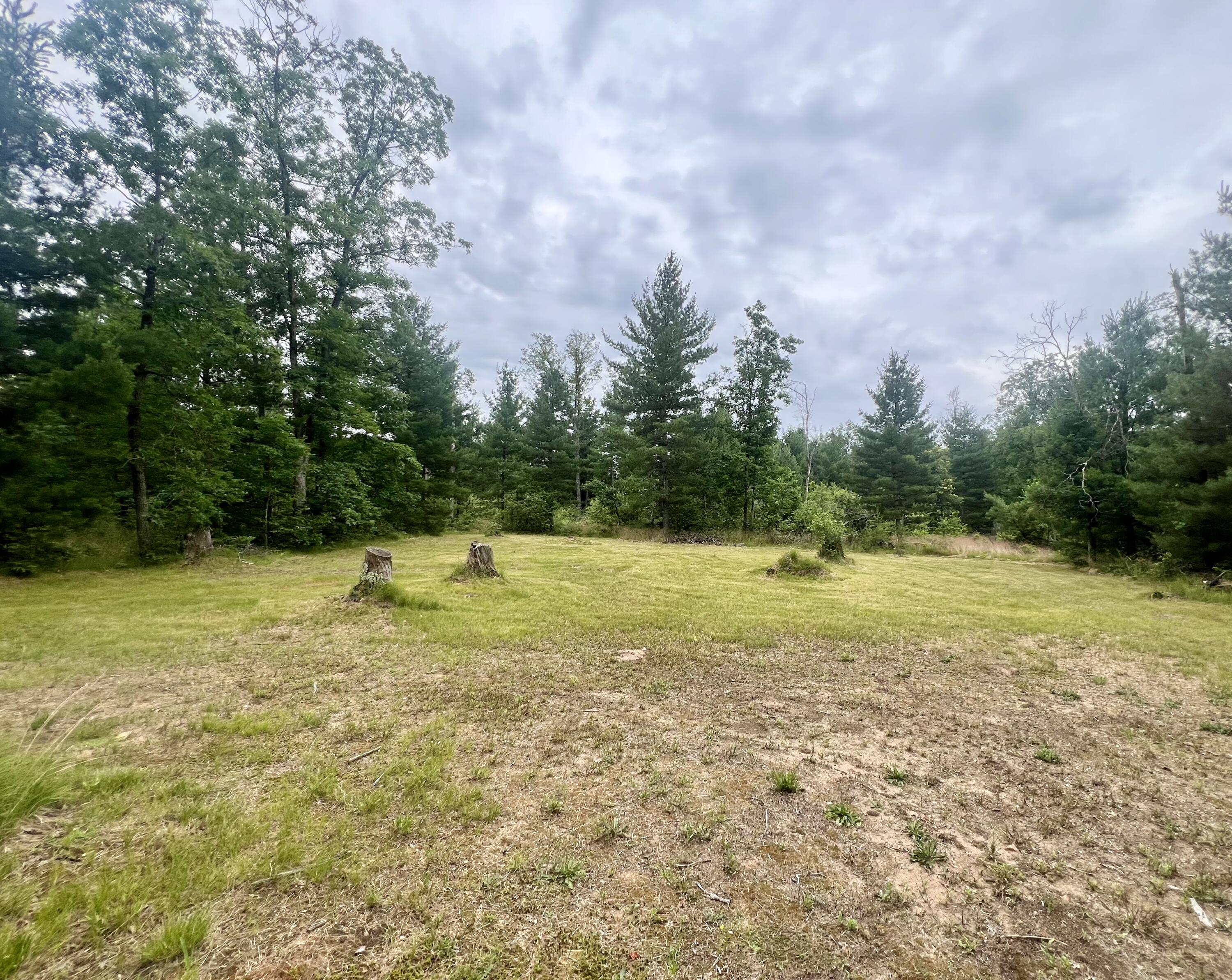 7833 South Forman Road Baldwin, MI 49304 - Photo 2 of 6 Forbes Pic 2