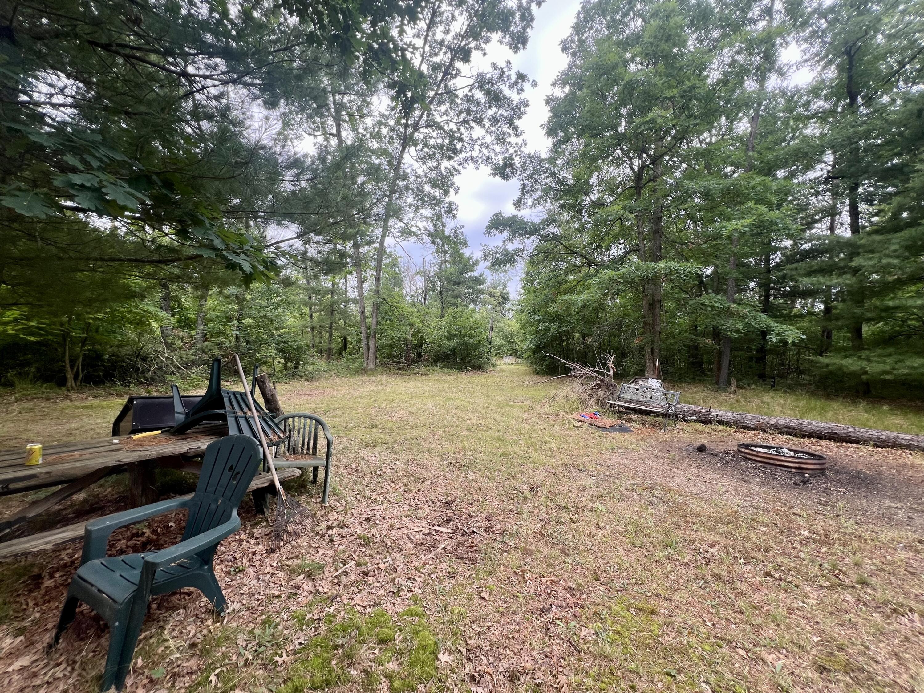 7833 South Forman Road Baldwin, MI 49304 - Photo 5 of 6 Forbes Pic 5
