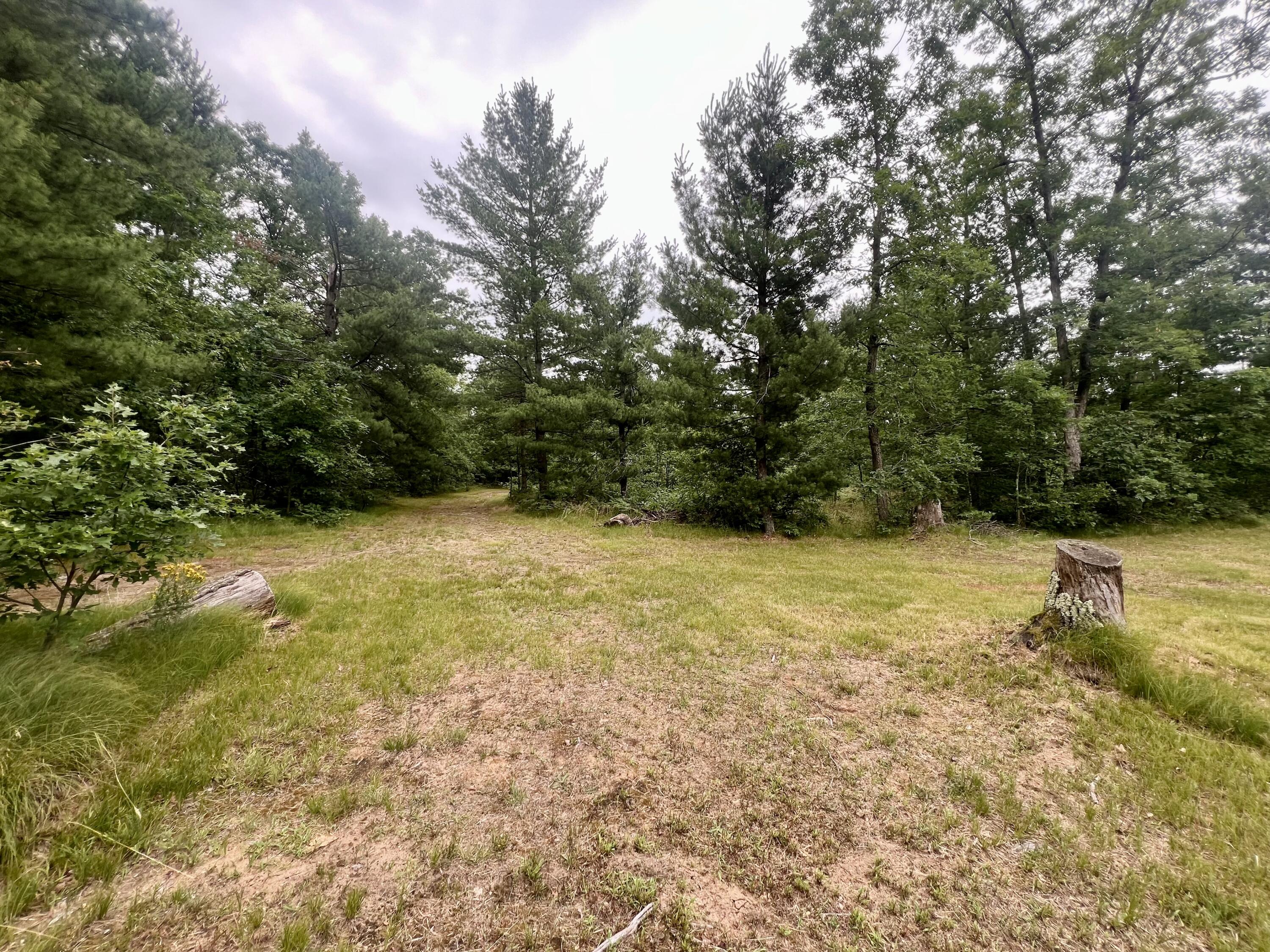 7833 South Forman Road Baldwin, MI 49304 - Photo 6 of 6 Forbes Pic 6