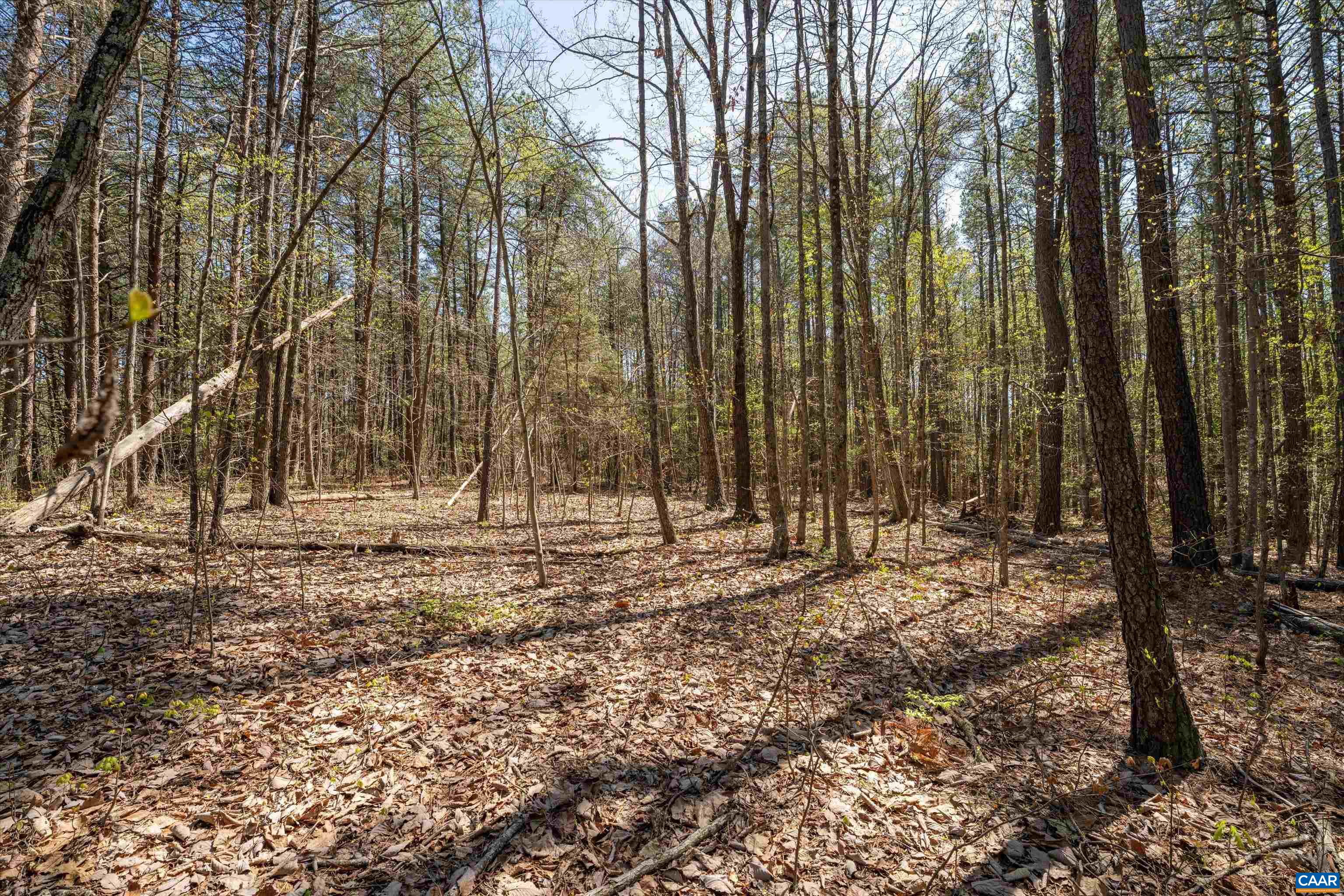 Lot 27 Martin Kings Road Charlottesville, VA 22902 - Photo 27 of 45 a backyard of a house with lots of green space