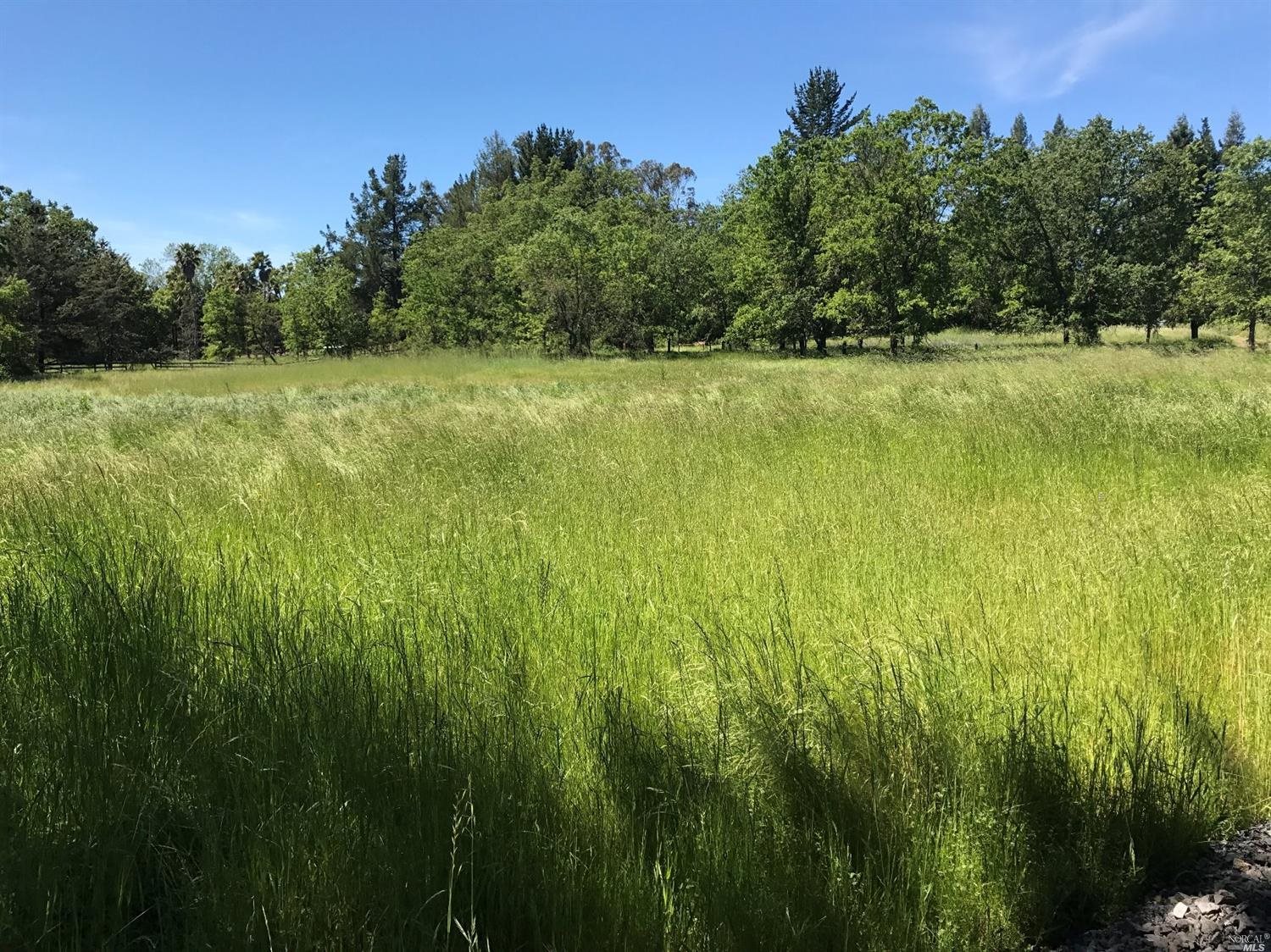 8555 Starr Road Windsor, CA 95492 - Photo 1 of 1 a view of a field with a trees in the background