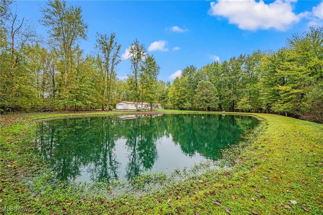 2891 Callender Road Rome, OH 44085 - Photo 28 of 41 Pond