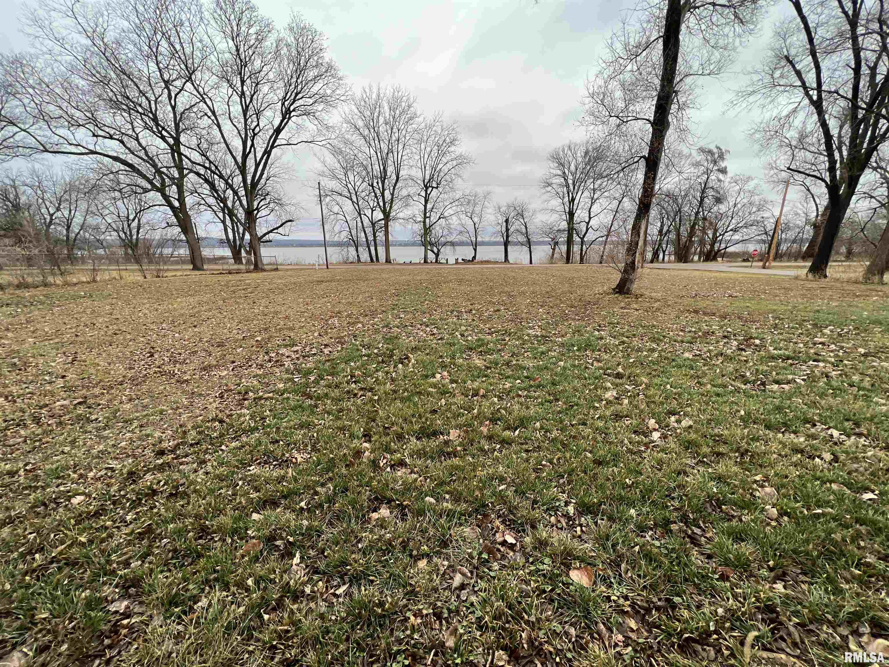 808 North Lake Street Spring Bay, IL 61611 - Photo 2 of 5