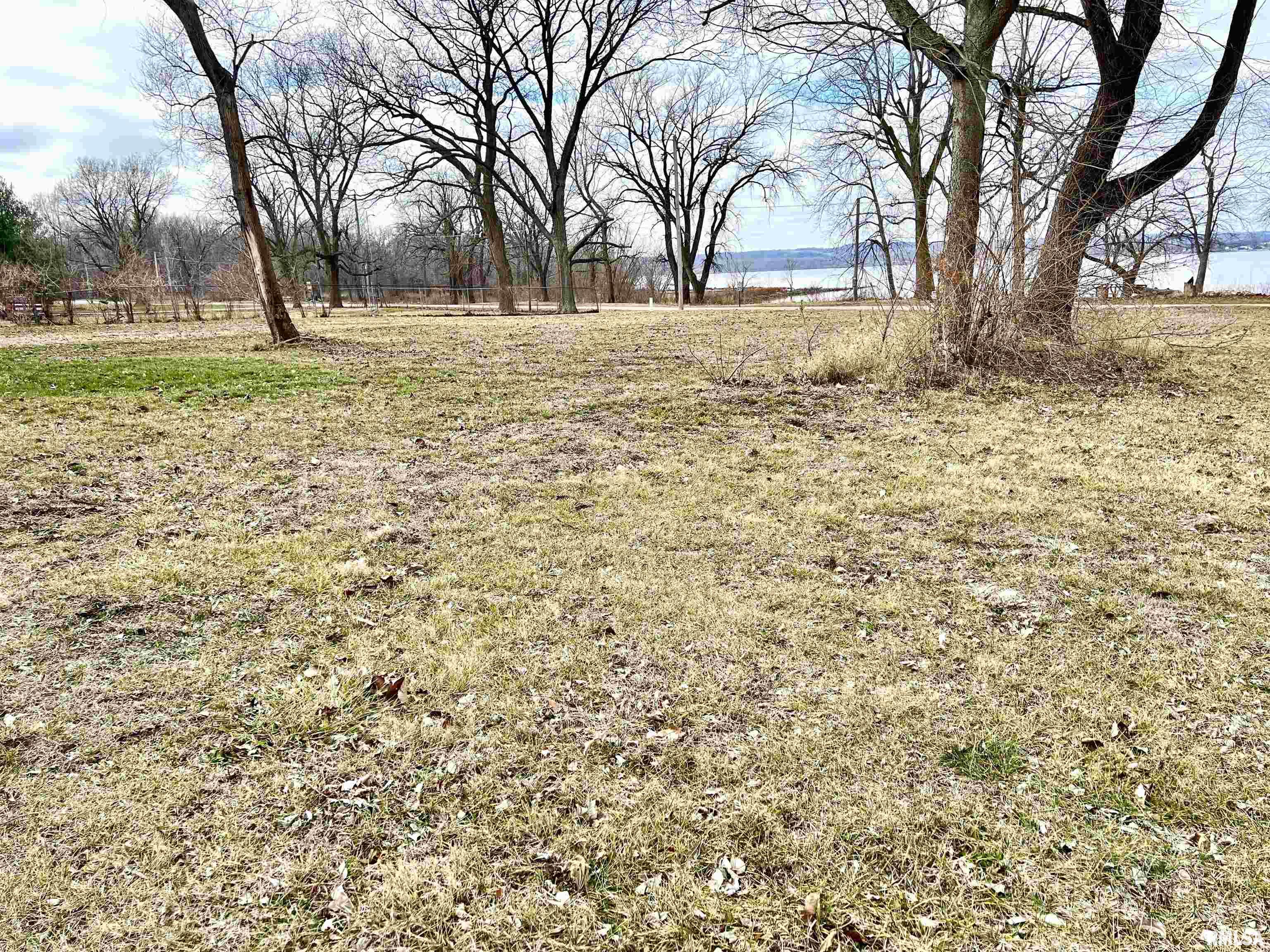 808 North Lake Street Spring Bay, IL 61611 - Photo 3 of 5