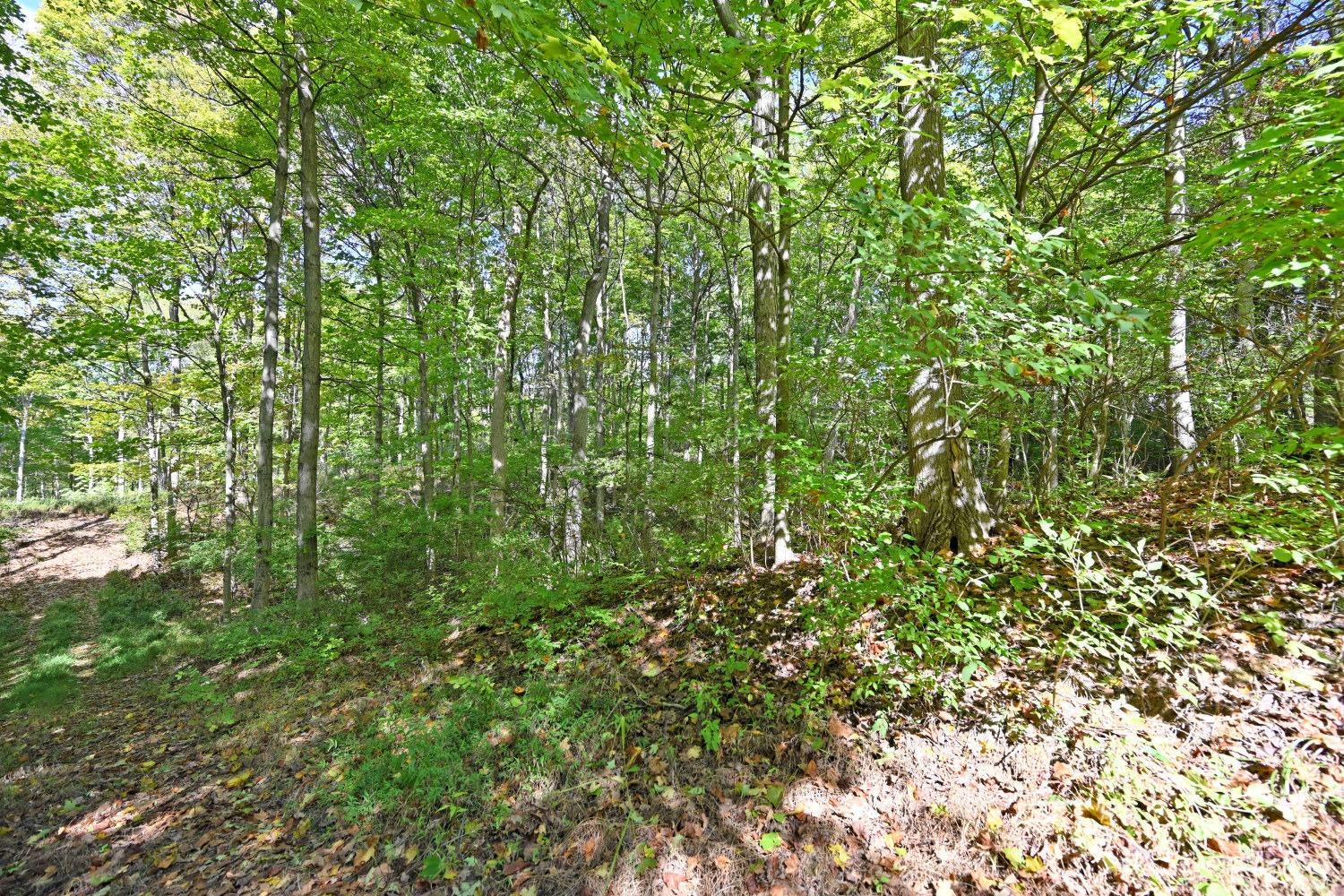 3301 Mt Carmel Road Cincinnati, OH 45244 - Photo 11 of 30
