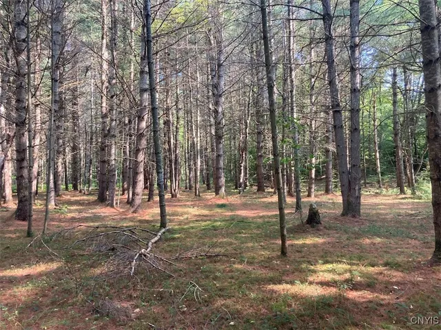 $149,900 | 5753 Van Arnam Road, Greig, NY 13345