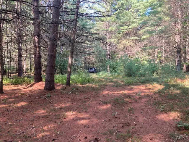 $149,900 | 5753 Van Arnam Road, Greig, NY 13345