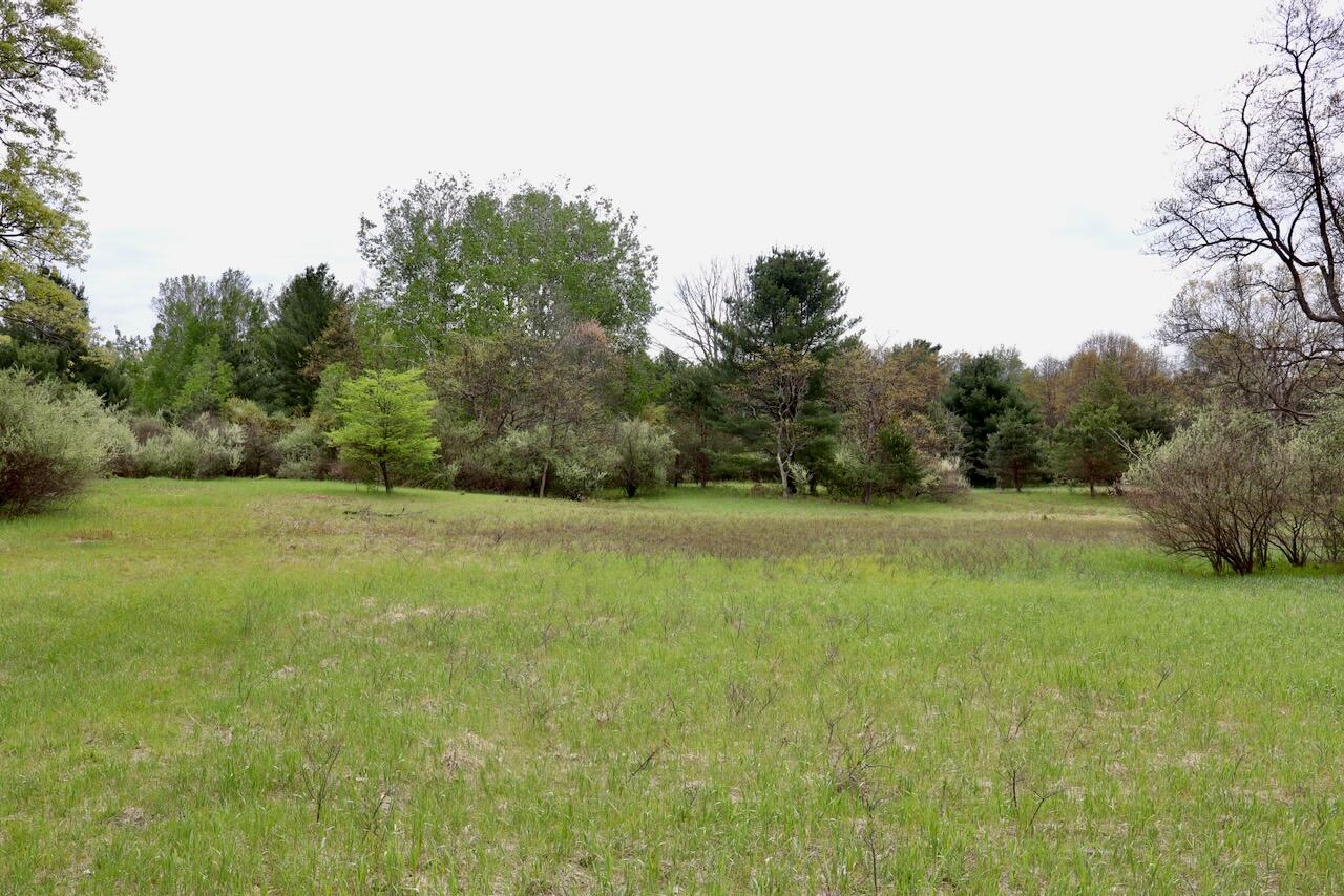 6153 South Branch Road Branch, MI 49402 - Photo 61 of 70 54