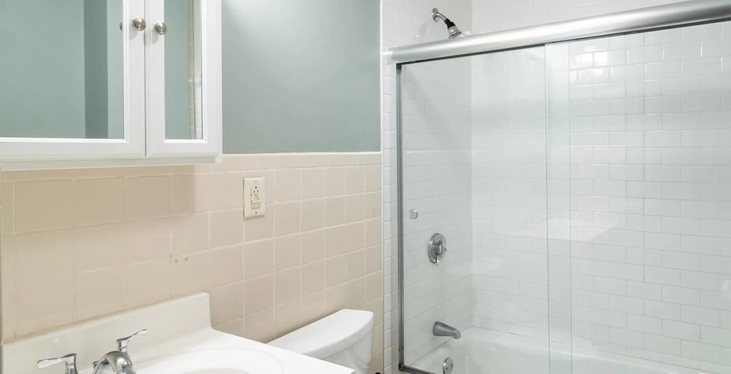 96 East Cottage Street, Unit 2 Boston, MA 02125 - Photo 13 of 15 a bathroom with a shower and a toilet