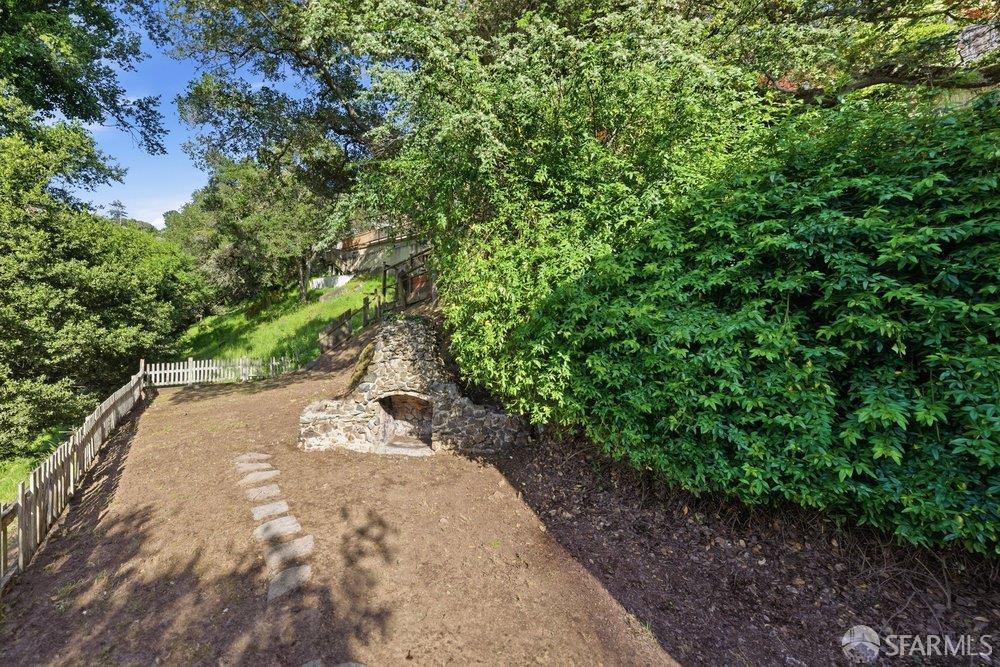 451 Vincente Avenue Berkeley, CA 94707 - Photo 55 of 66 a view of a yard with plants and trees