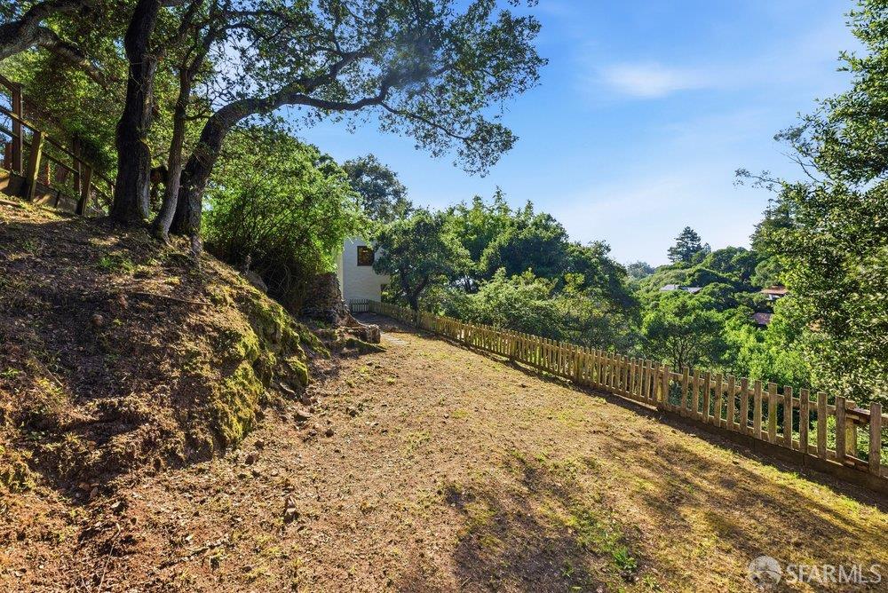 451 Vincente Avenue Berkeley, CA 94707 - Photo 56 of 66 a view of a yard with plants and trees