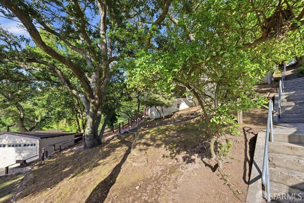 451 Vincente Avenue Berkeley, CA 94707 - Photo 60 of 66 a view of an outdoor space with seating