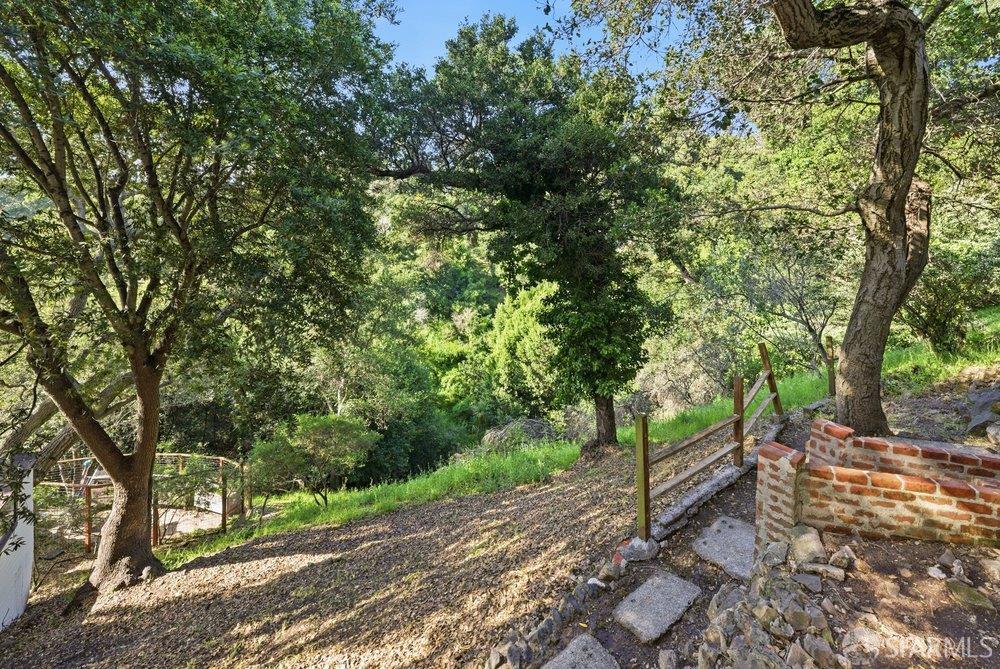 451 Vincente Avenue Berkeley, CA 94707 - Photo 61 of 66 a backyard of a house with lots of green space