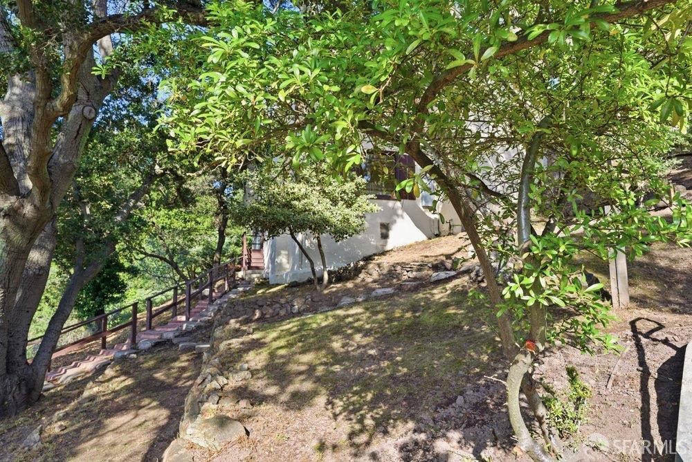 451 Vincente Avenue Berkeley, CA 94707 - Photo 62 of 66 a backyard of a house with lots of green space