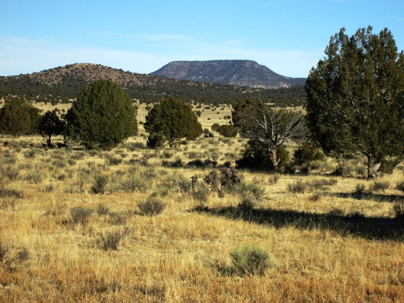 17 North Off Jolly Road Seligman, AZ 86337 - Photo 1 of 28 view