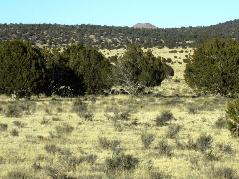 17 North Off Jolly Road Seligman, AZ 86337 - Photo 13 of 28 IMG_0060