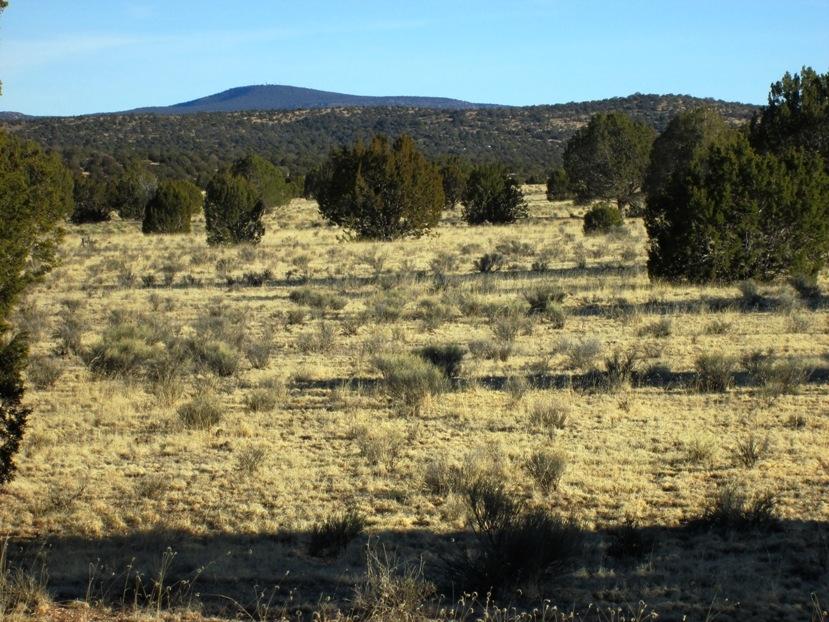 17 North Off Jolly Road Seligman, AZ 86337 - Photo 14 of 28 IMG_0061
