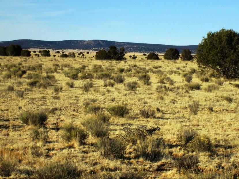 17 North Off Jolly Road Seligman, AZ 86337 - Photo 20 of 28 IMG_0067