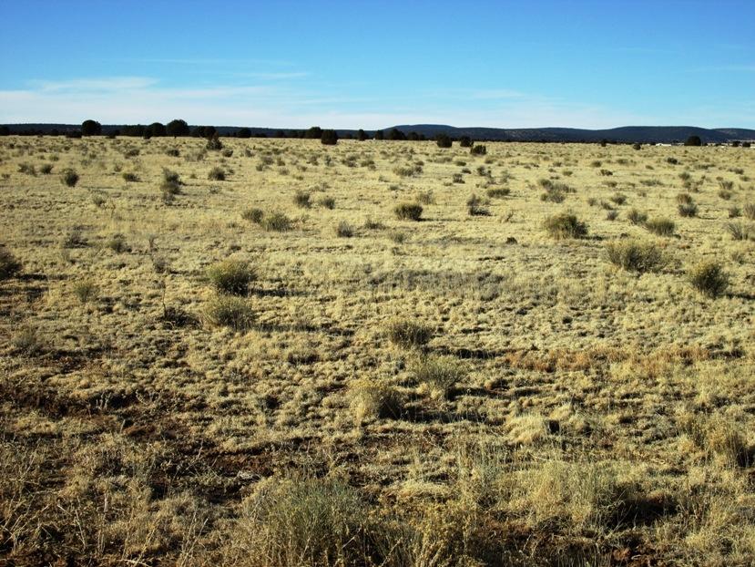 17 North Off Jolly Road Seligman, AZ 86337 - Photo 2 of 28 IMG_0048