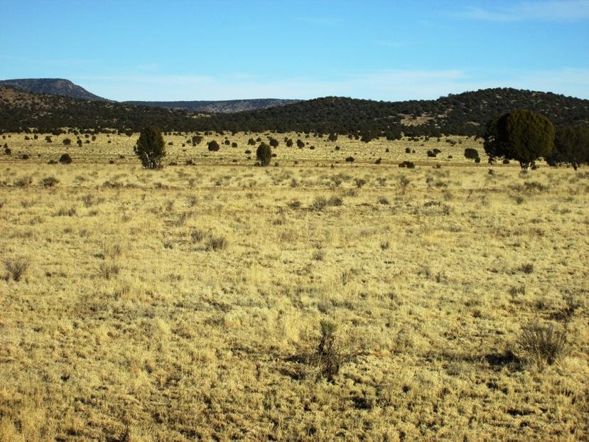 17 North Off Jolly Road Seligman, AZ 86337 - Photo 21 of 28 IMG_0068