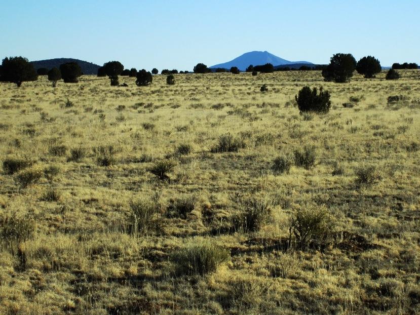 17 North Off Jolly Road Seligman, AZ 86337 - Photo 23 of 28 IMG_0070