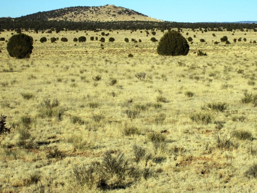 17 North Off Jolly Road Seligman, AZ 86337 - Photo 24 of 28 IMG_0071