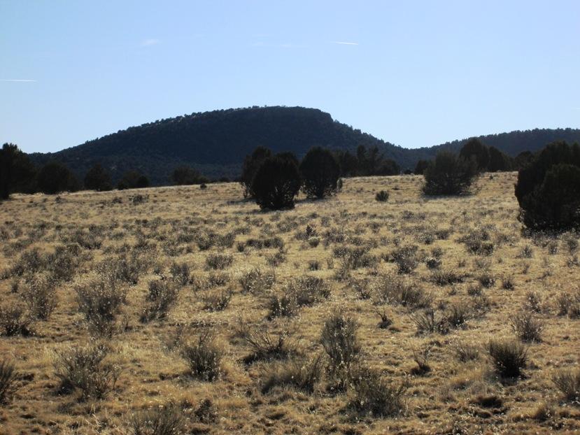 17 North Off Jolly Road Seligman, AZ 86337 - Photo 4 of 28 IMG_0050