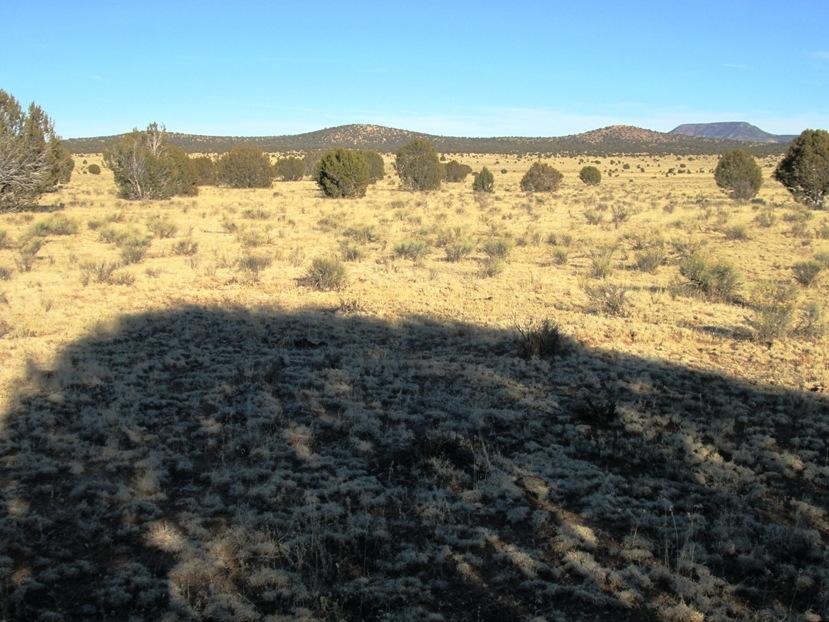 17 North Off Jolly Road Seligman, AZ 86337 - Photo 7 of 28 IMG_0053
