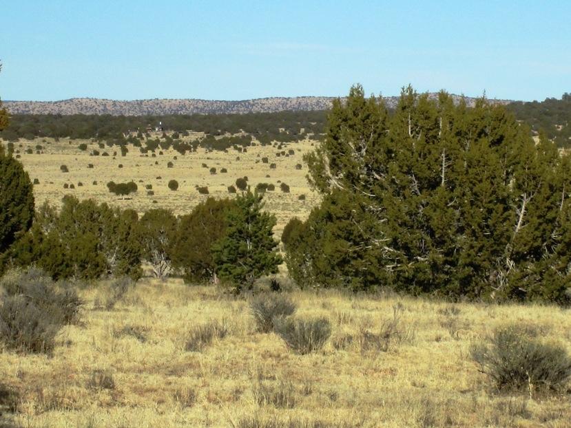 17 North Off Jolly Road Seligman, AZ 86337 - Photo 10 of 28 IMG_0057