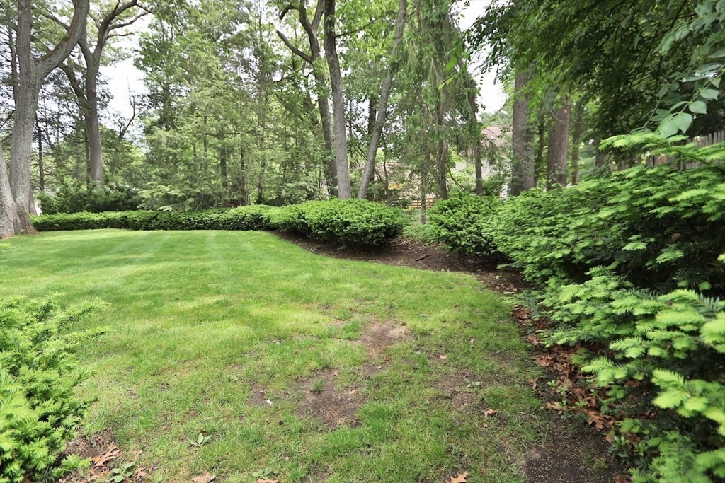 19 Pine Needle Road Wayland, MA 01778 - Photo 7 of 33 Gallery Image 7